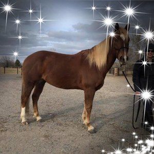 Meet your Posher, Janet